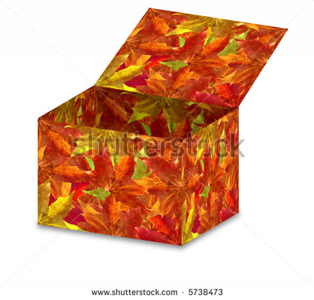 stock-photo-autumn-leaves-box-5738473